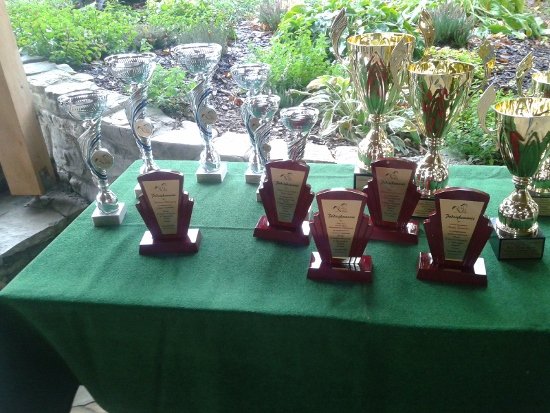Kamionka 2015